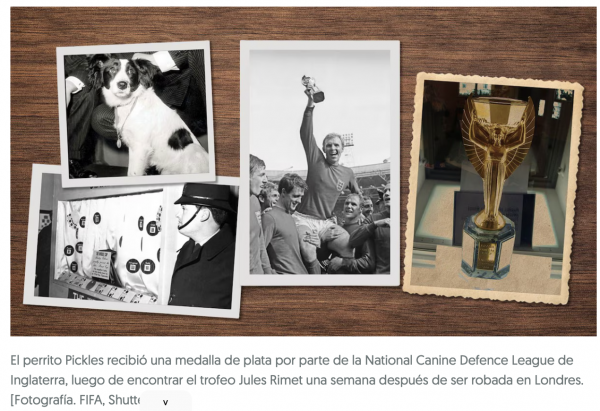 El trofeo robado antes del Mundial de 1966 que fue hallado por un perro: La historia del Jules Rimet